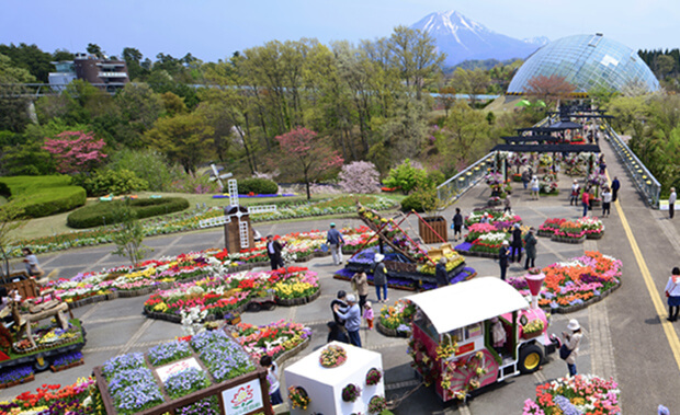 とっとり花回廊