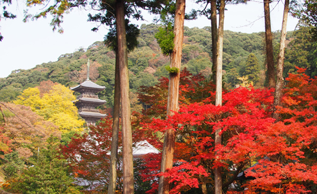 清水寺