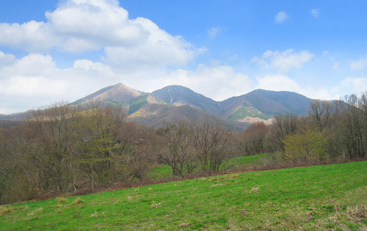 蒜山・大山観光