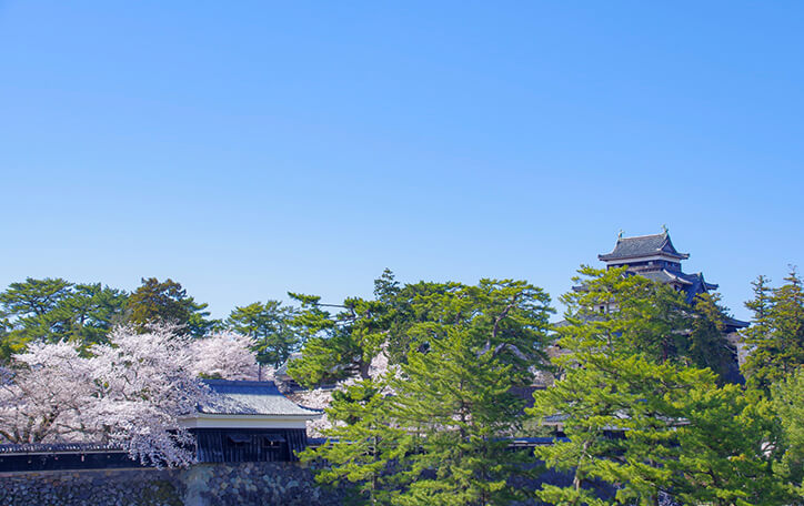 出雲・松江で観光